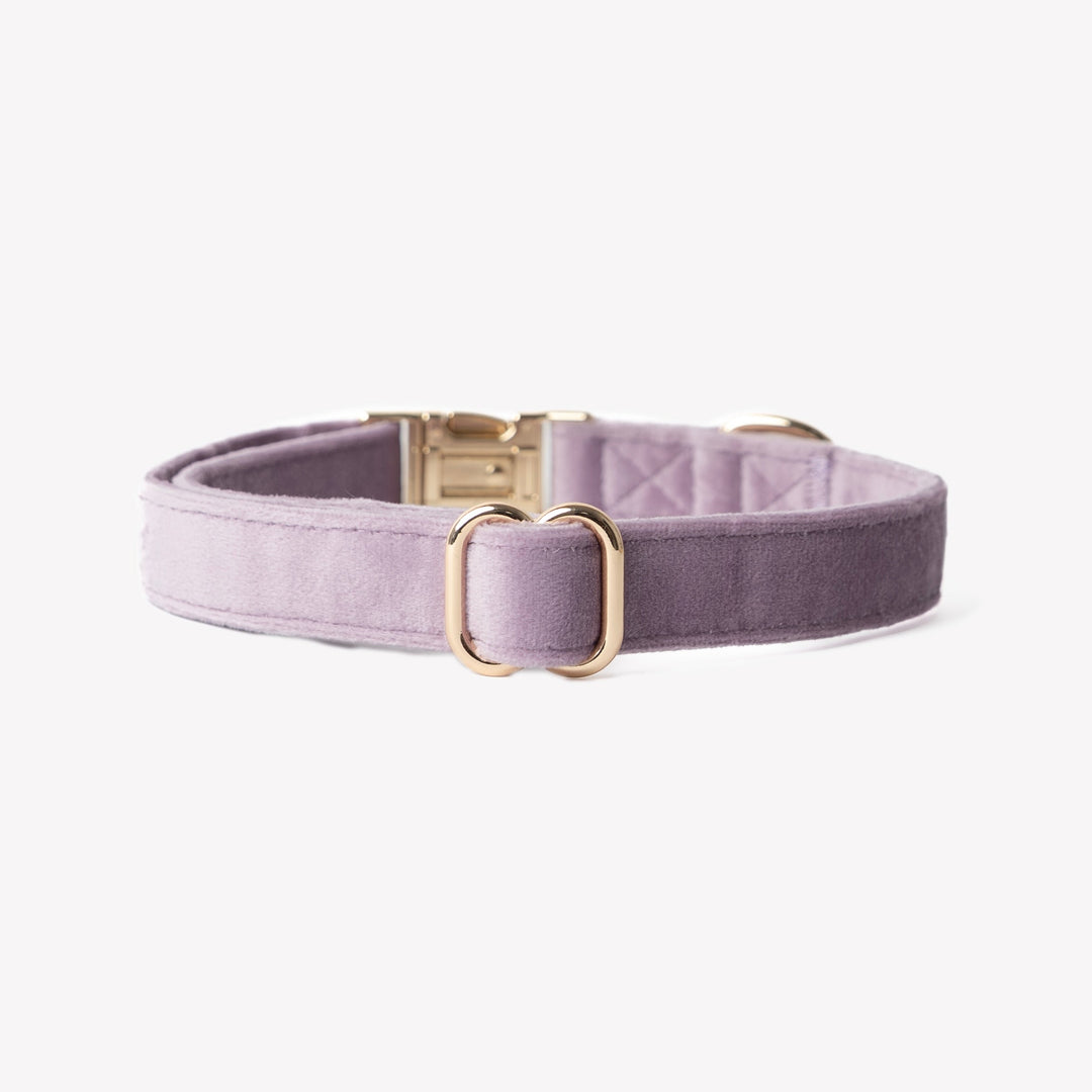 Furlou Obojek Velvet