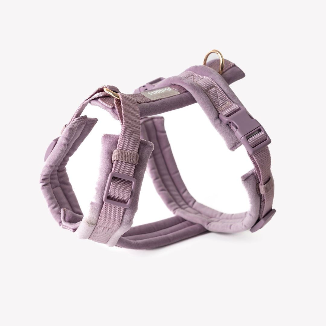 Furlou Postroj Velvet