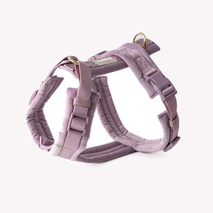 Furlou Postroj Velvet