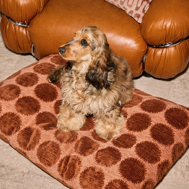 Dogguo Matrace Flat Bed