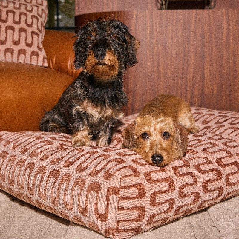 Dogguo Matrace Flat Bed