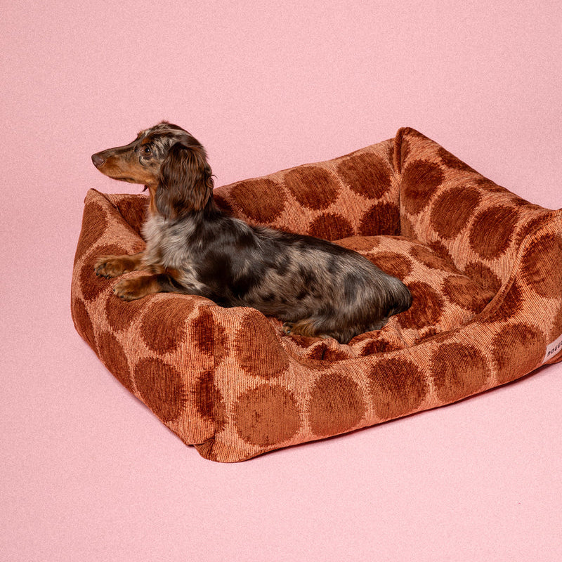 Dogguo Pelíšek Sofa Bed