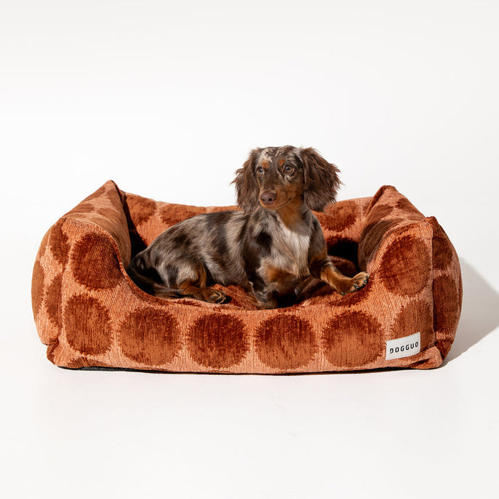 Dogguo Pelíšek Sofa Bed