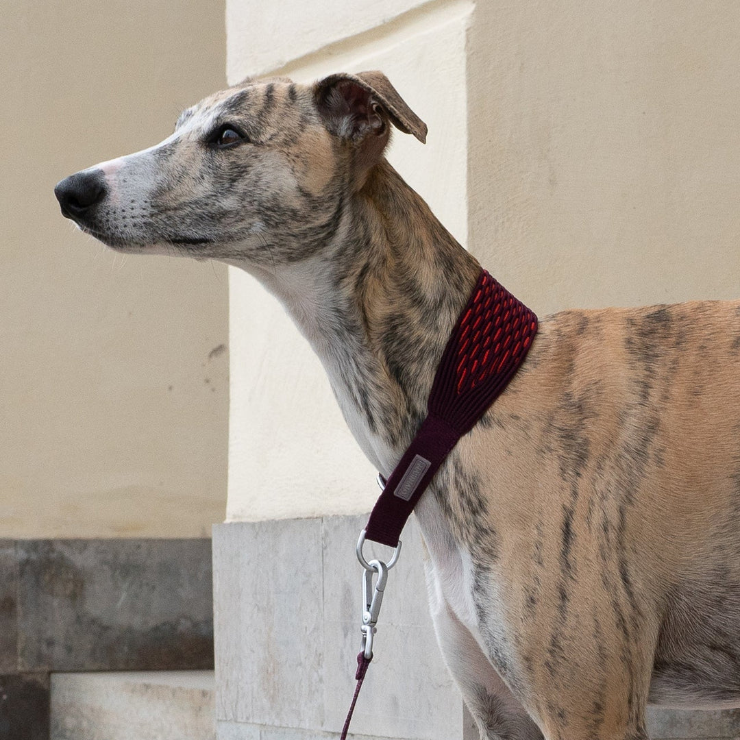 Masimalo Obojek 3D Knit Collar