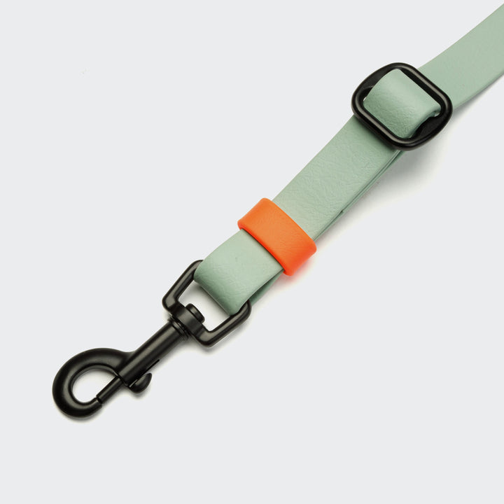 Cloud7 Handsfree vodítko BioThane Ipanema