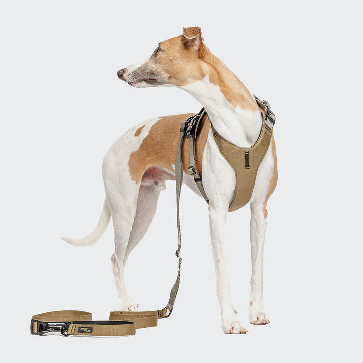 Cloud7 Vodítko L-1 Hands-Free Aktiv