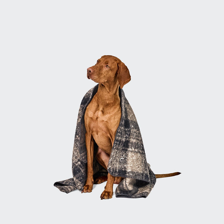 Cloud7 Deka Bouclé Tartan