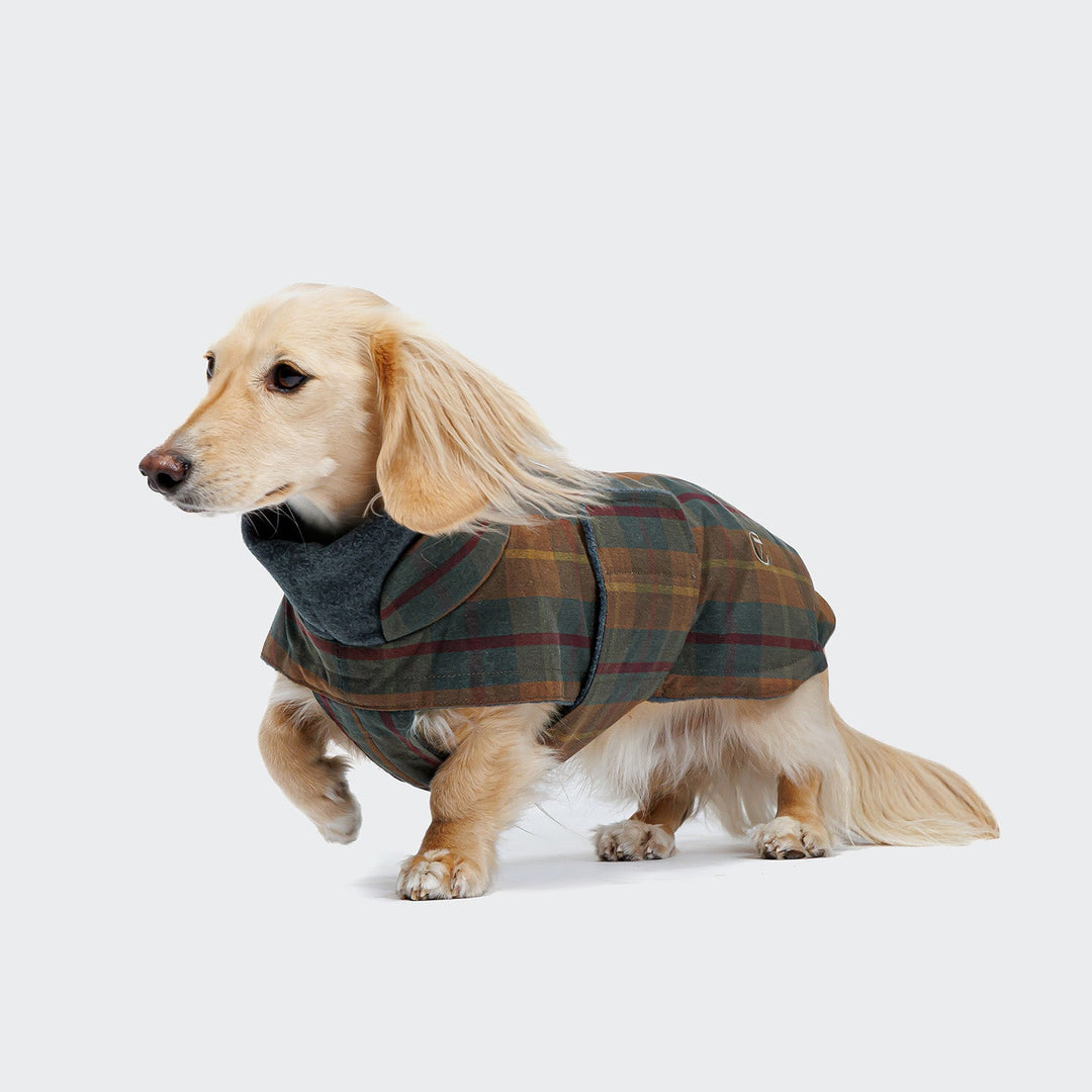 Cloud7 Kabátek pro jezevčíky Brooklyn Tartan