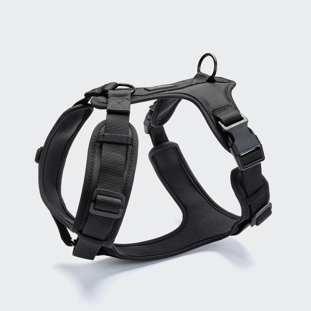 Cloud7 Postroj Y-3 Aktiv