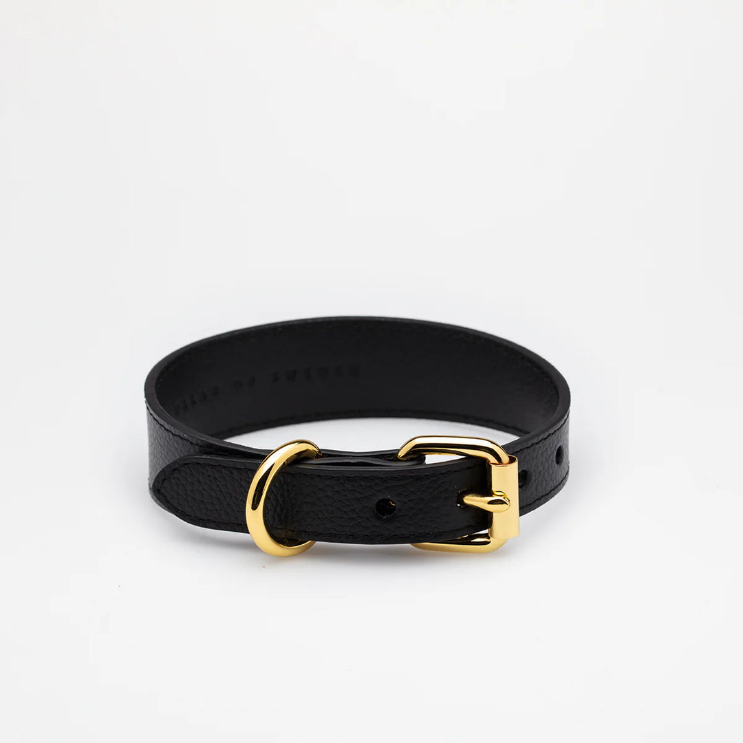 Collar of Sweden Kožený tenký obojek Leather