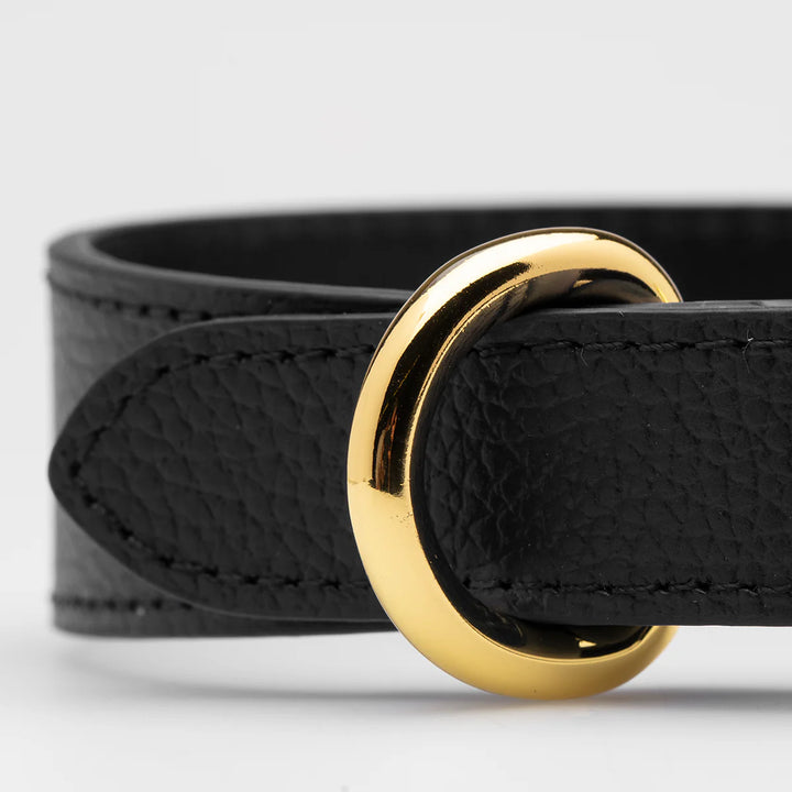 Collar of Sweden Kožený tenký obojek Leather