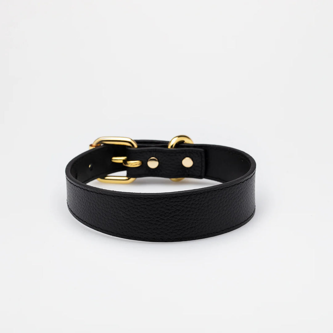 Collar of Sweden Kožený tenký obojek Leather