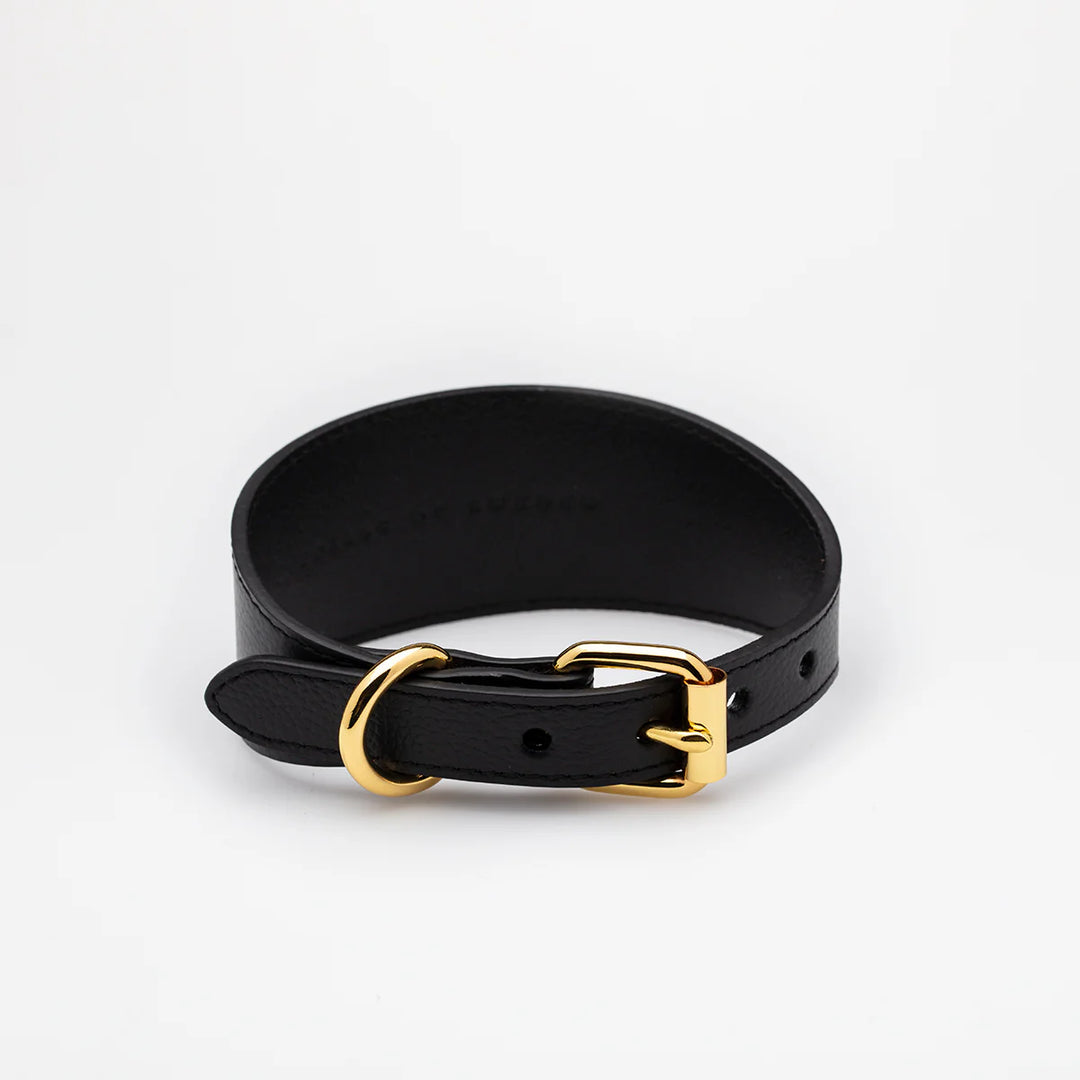 Collar of Sweden Kožený široký obojek Leather
