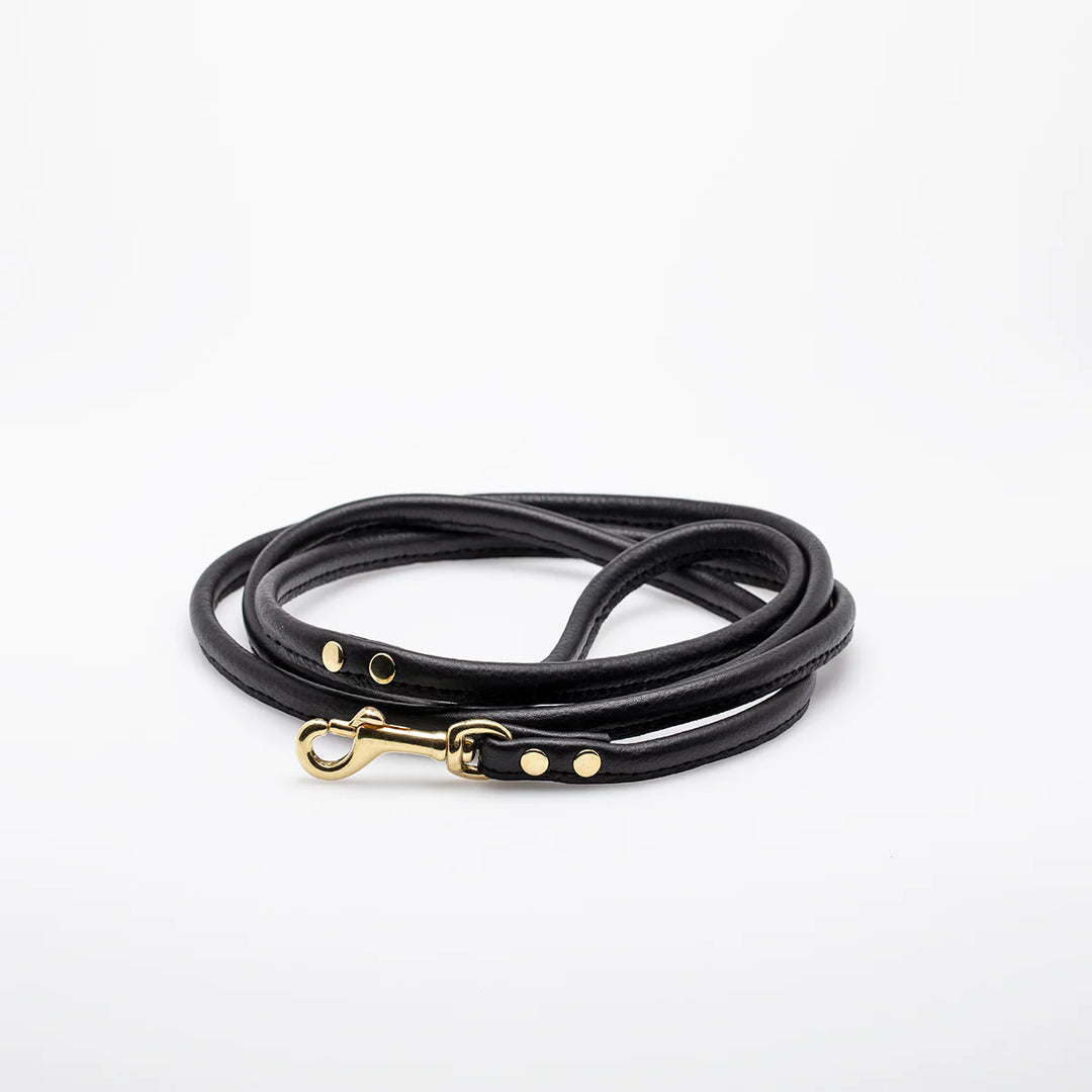Collar of Sweden Kožené vodítko Leather