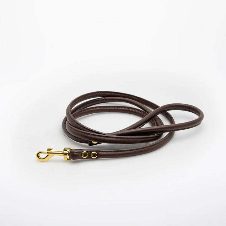 Collar of Sweden Kožené vodítko Leather
