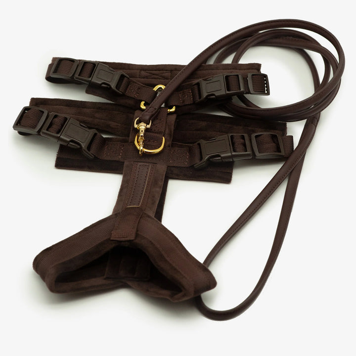 Collar of Sweden Postroj Y