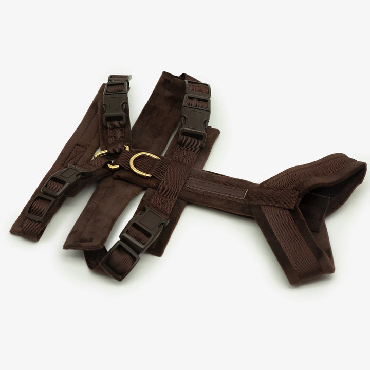 Collar of Sweden Postroj Y