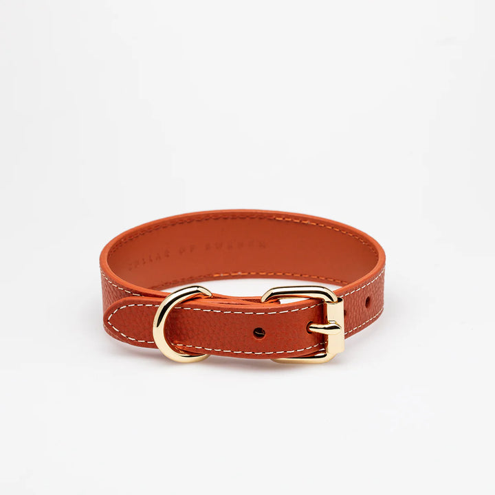 Collar of Sweden Kožený tenký obojek Leather