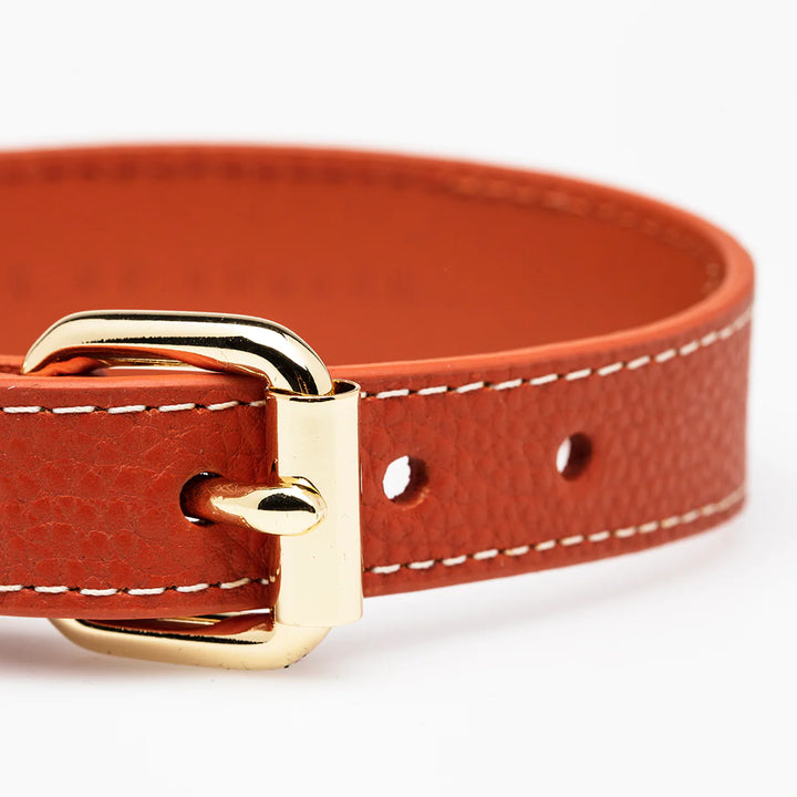 Collar of Sweden Kožený tenký obojek Leather