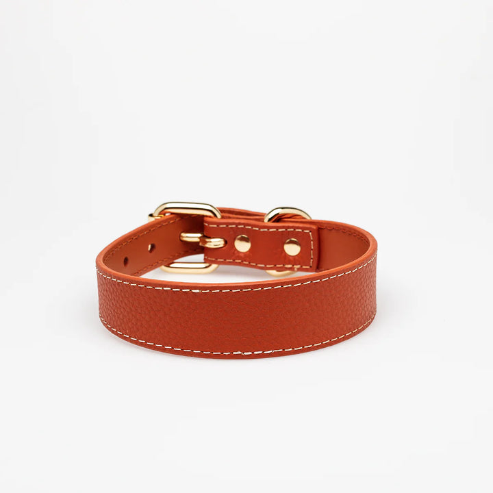 Collar of Sweden Kožený tenký obojek Leather