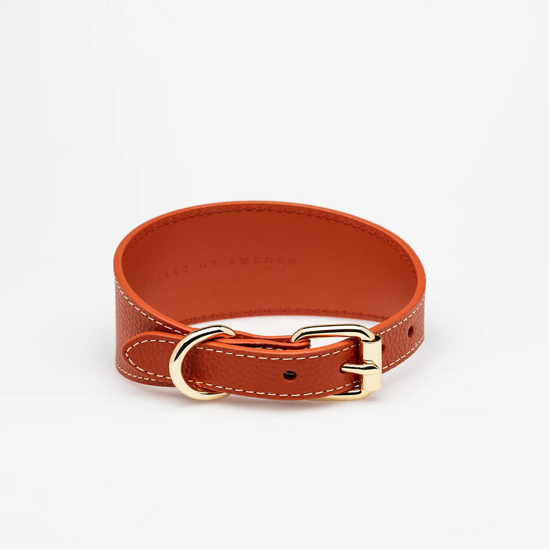 Collar of Sweden Kožený široký obojek Leather