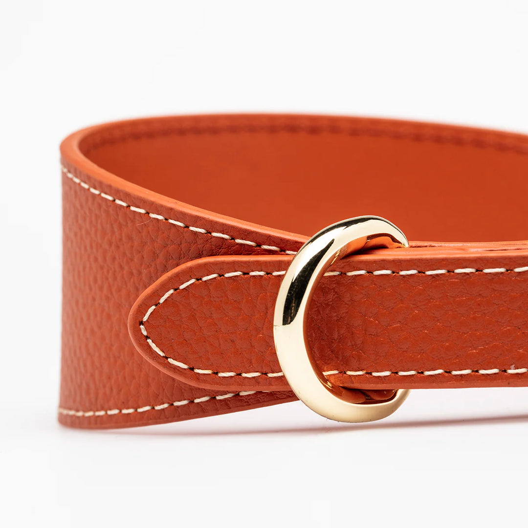 Collar of Sweden Kožený široký obojek Leather