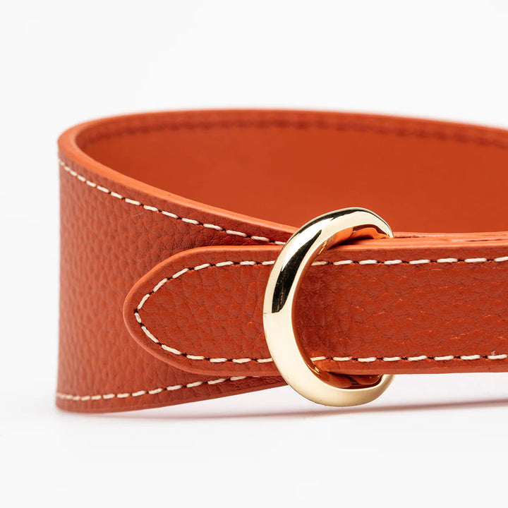 Collar of Sweden Kožený široký obojek Leather