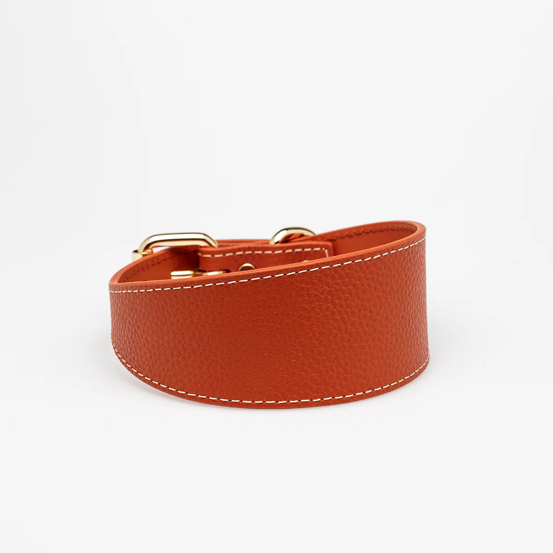 Collar of Sweden Kožený široký obojek Leather