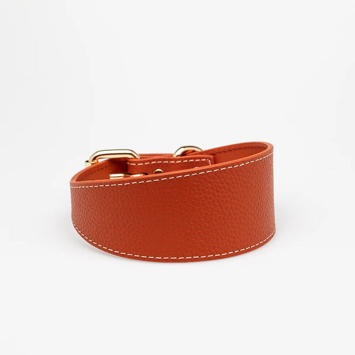 Collar of Sweden Kožený široký obojek Leather
