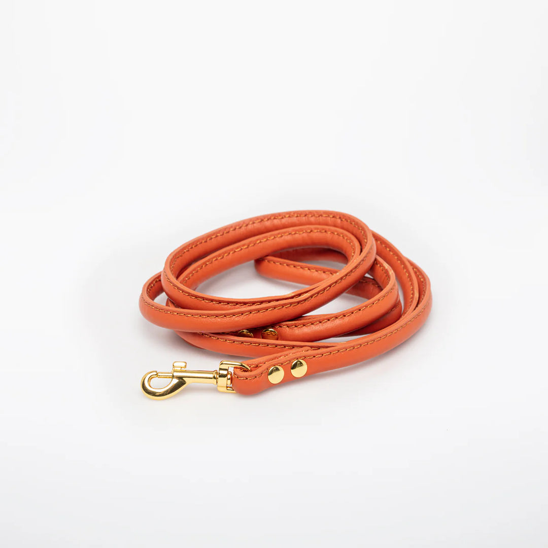 Collar of Sweden Kožené vodítko Leather