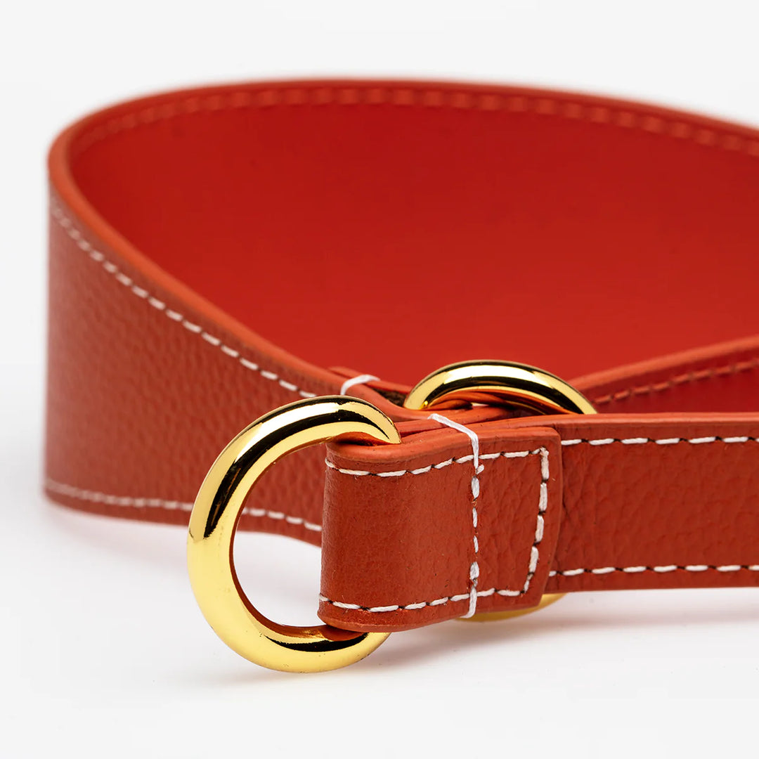 Collar of Sweden Kožený obojek Martingale Wide