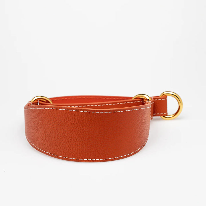 Collar of Sweden Kožený obojek Martingale Wide