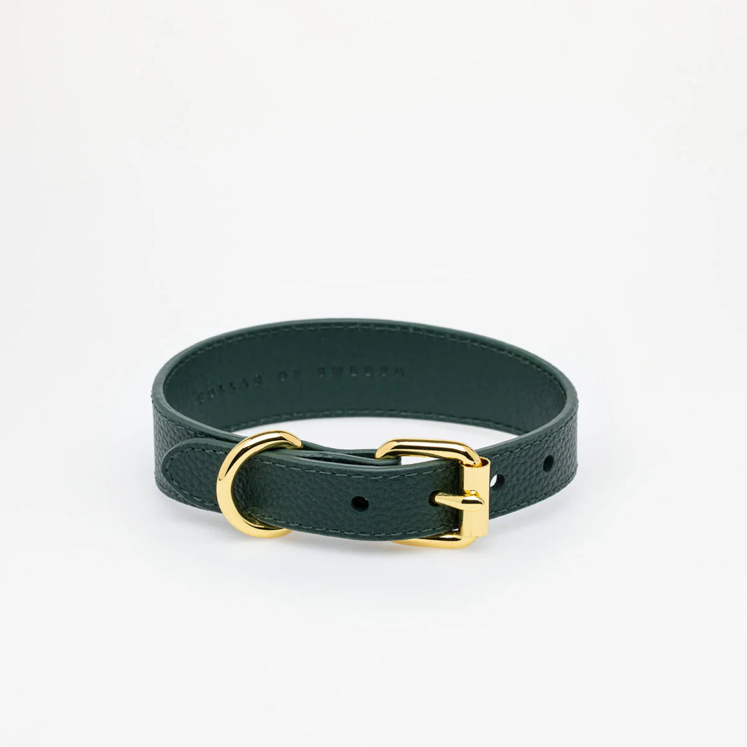 Collar of Sweden Kožený tenký obojek Leather