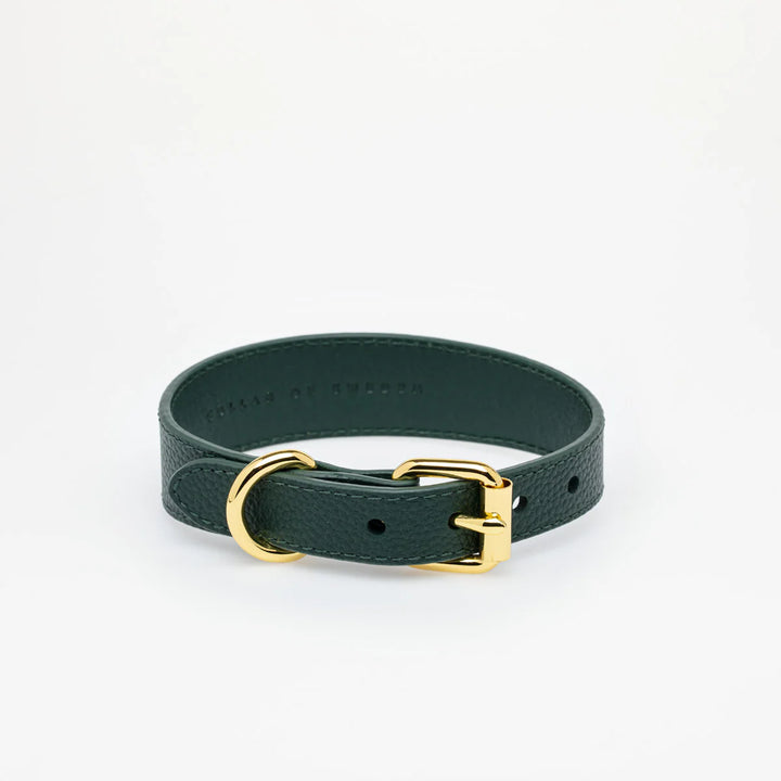 Collar of Sweden Kožený tenký obojek Leather