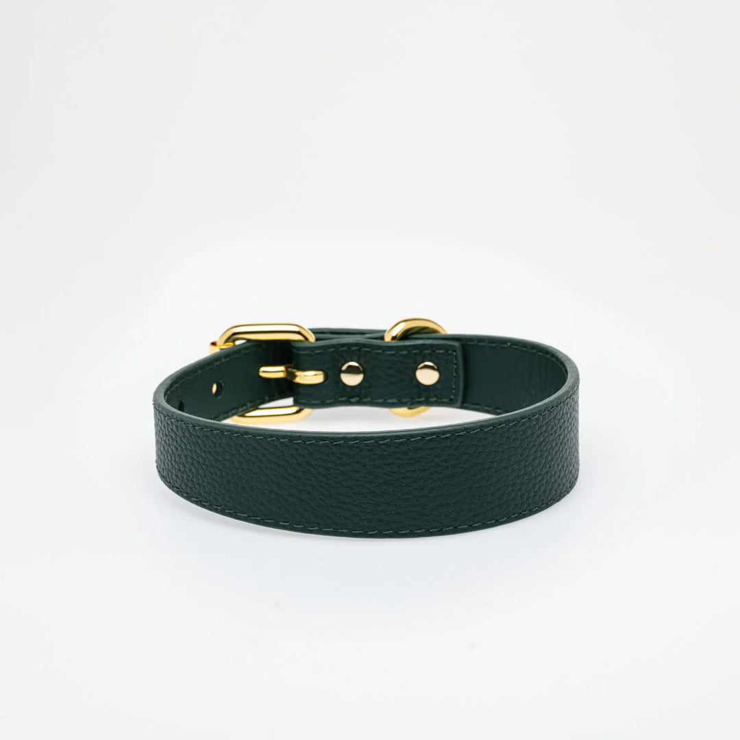 Collar of Sweden Kožený tenký obojek Leather
