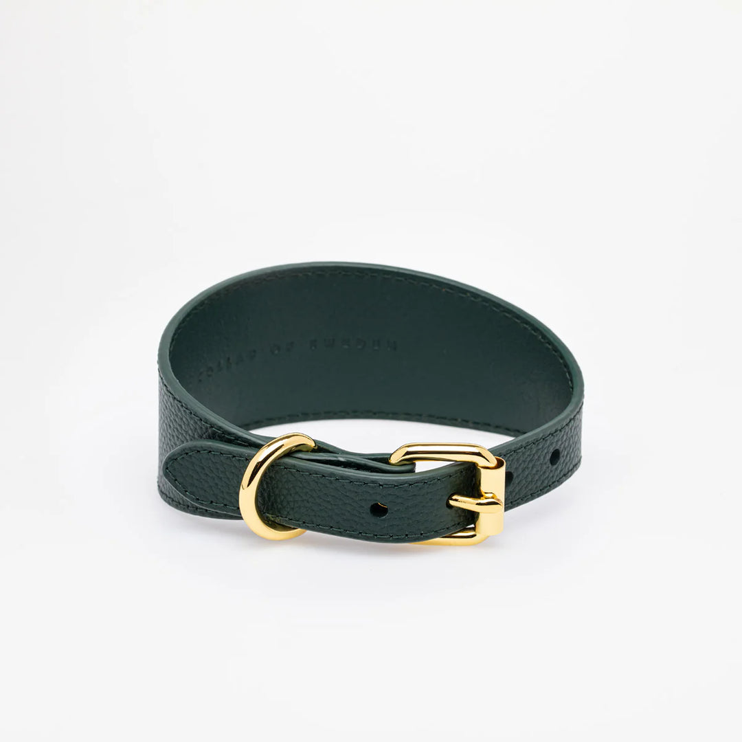Collar of Sweden Kožený široký obojek Leather