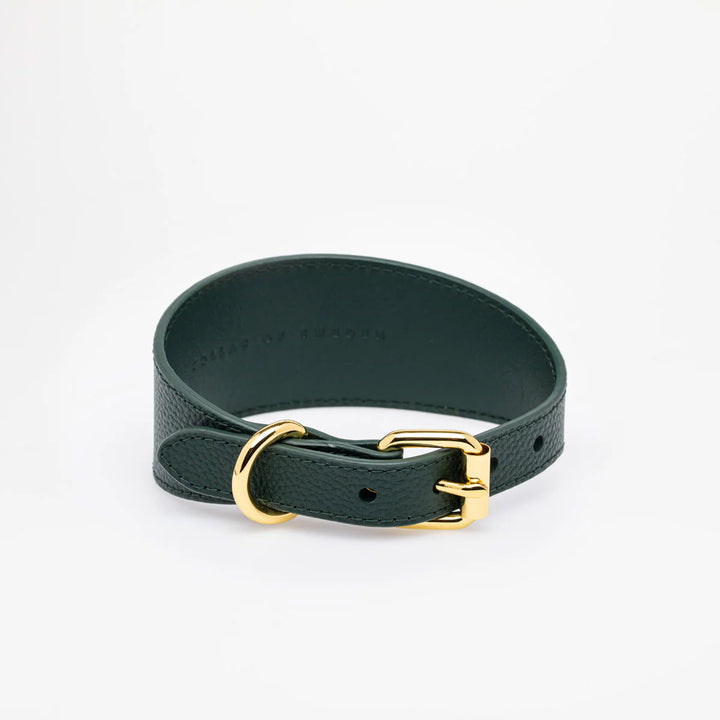 Collar of Sweden Kožený široký obojek Leather