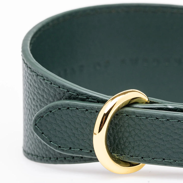 Collar of Sweden Kožený široký obojek Leather