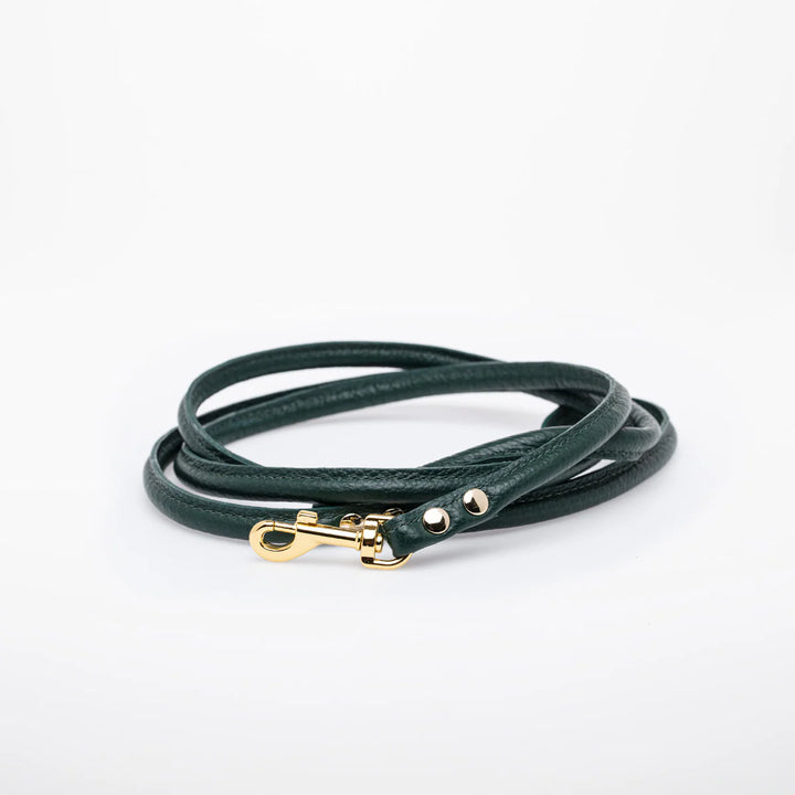 Collar of Sweden Kožené vodítko Leather