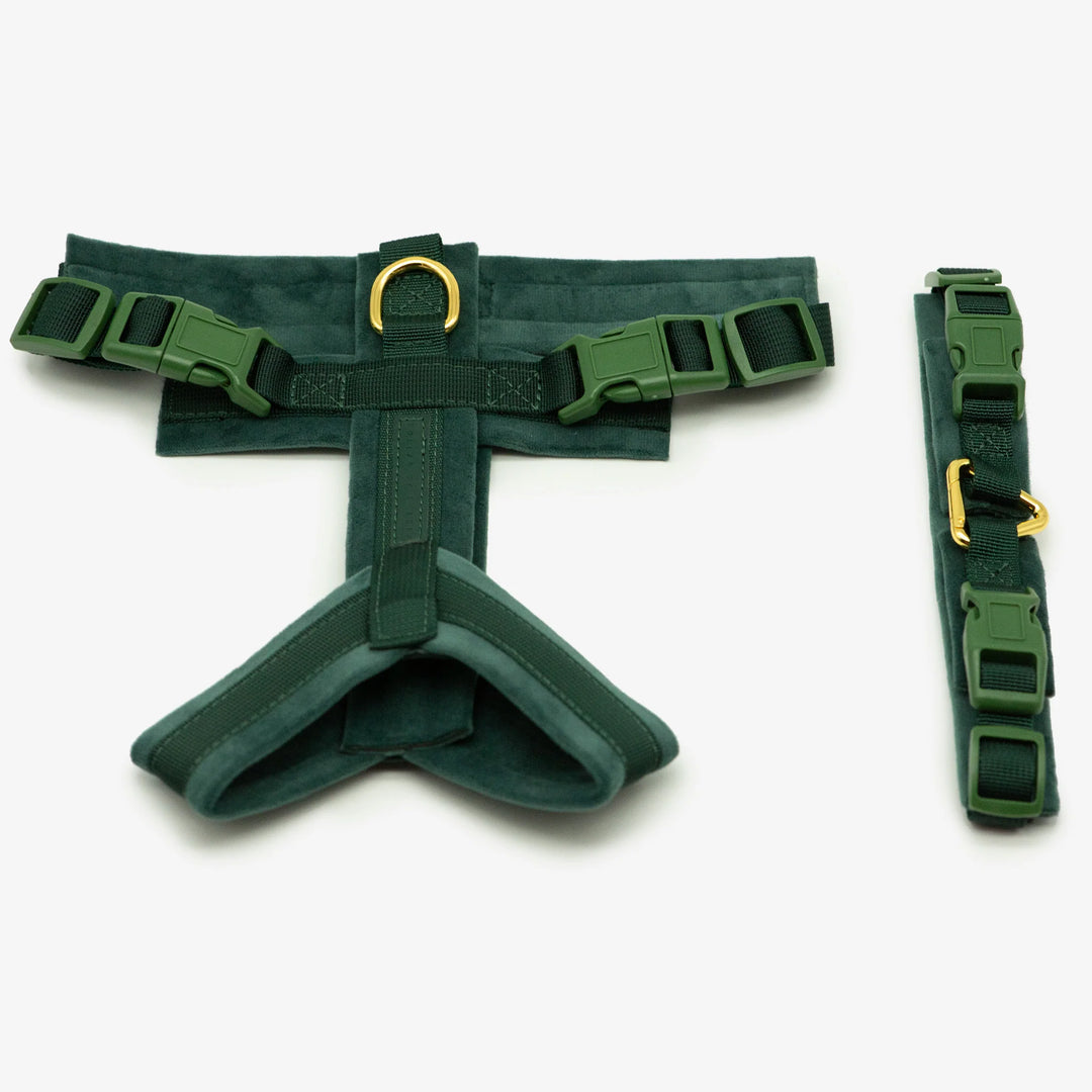 Collar of Sweden Postroj Y