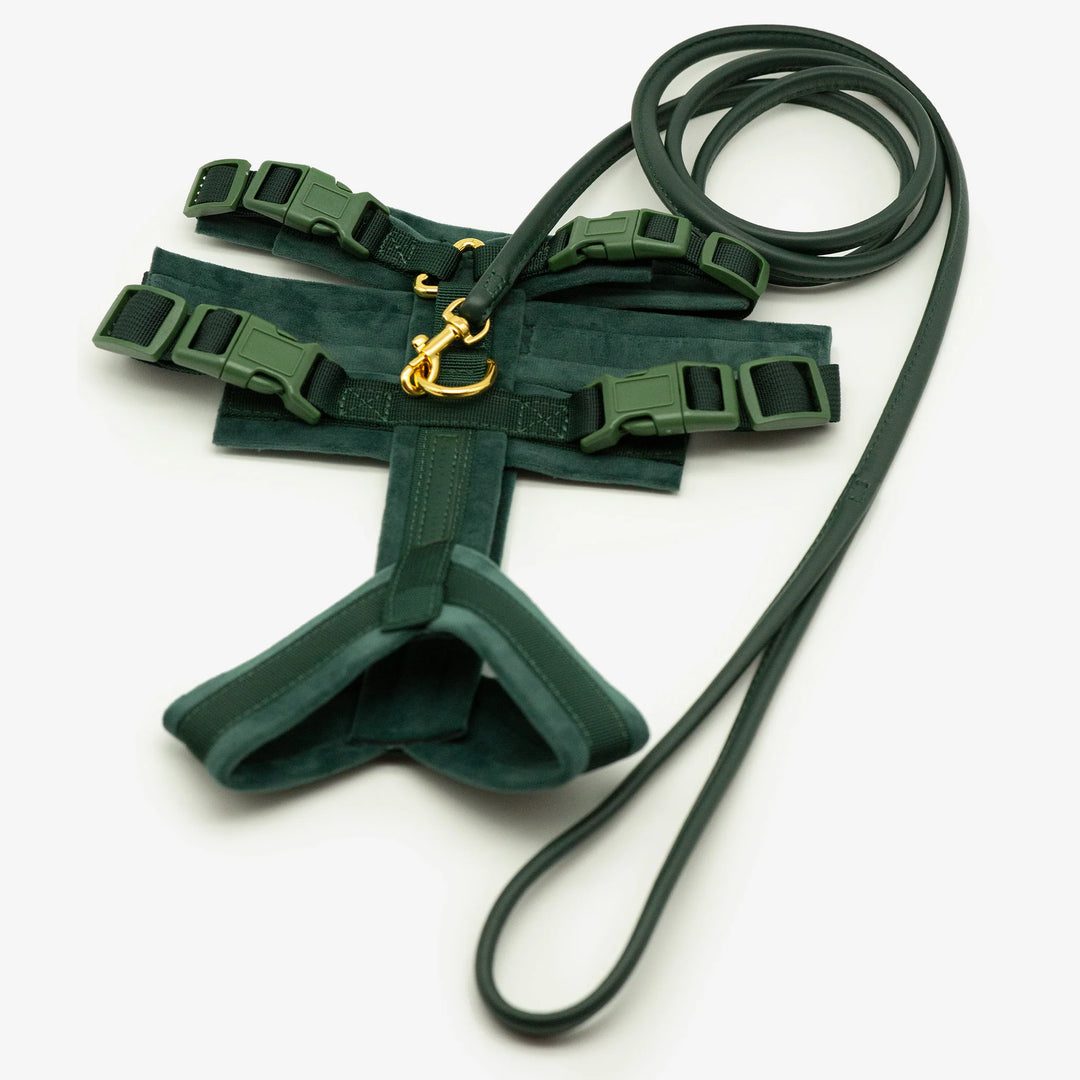 Collar of Sweden Postroj Y