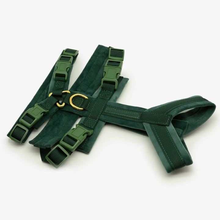Collar of Sweden Postroj Y